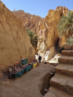 Tozeur to the Mountain Oases: Chebika and Tamerza