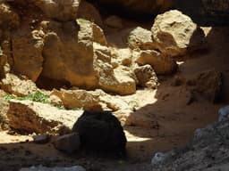 Quarries of El Haouaria (Ghar el Kebir)