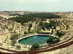 Nefta Oasis