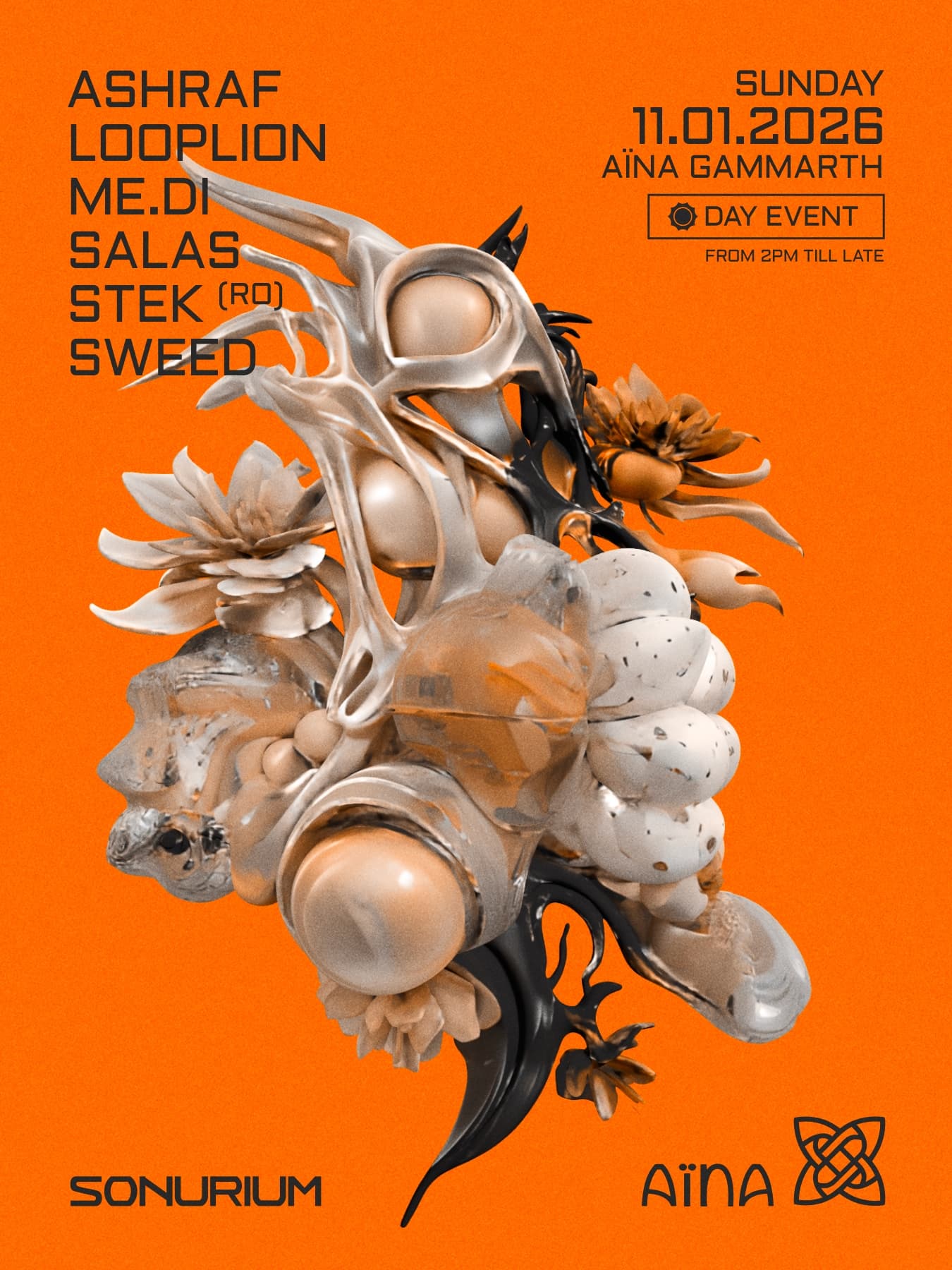 SONURIUM x AÏNA w/ ASHRAF, LOOPLION, ME.DI, SALAS, STEK (RO), SWEED
