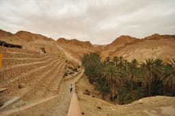 Chebika Oasis