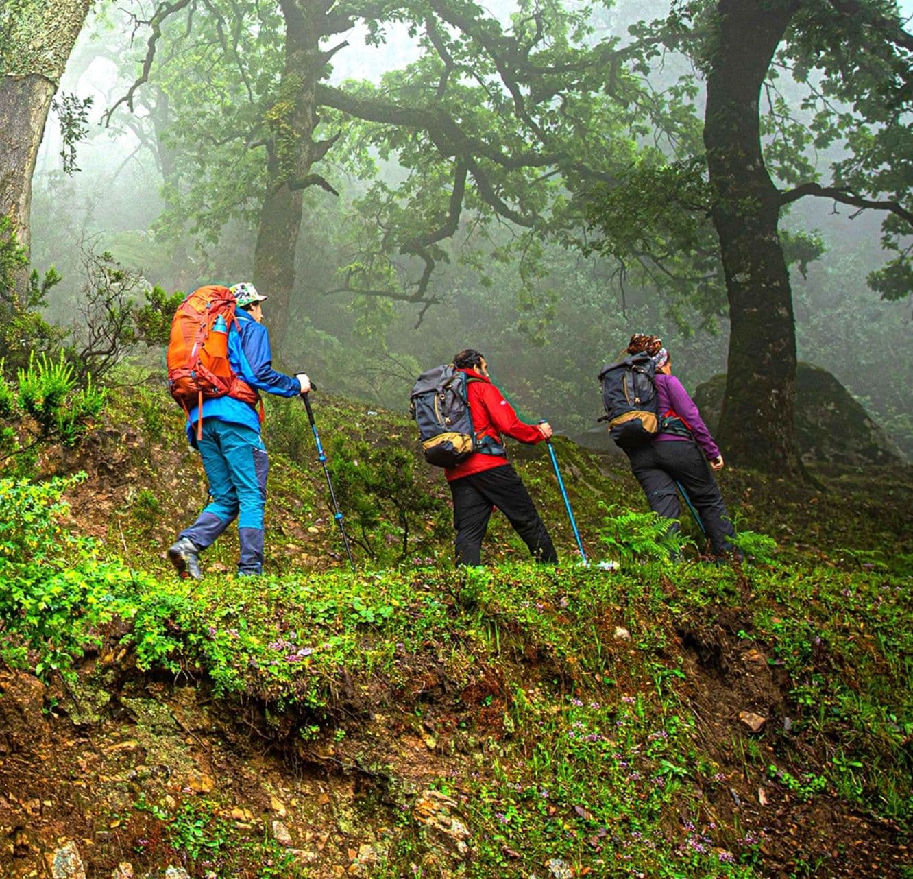 Discover Tabarka with Dar El Ain