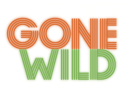 GONE WILD - Tunisian event organizer