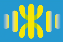 T.E.R - Tunisian event organizer