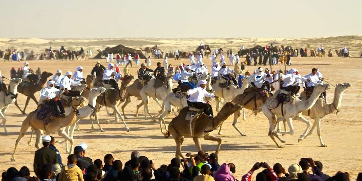 Festival International du Sahara de Douz - Douz