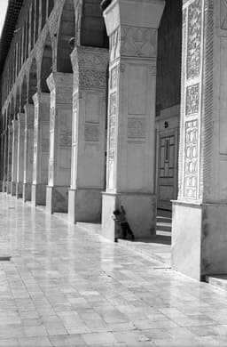 Images de Syrie, Palmyre, Alep, Damas - Michel Eisenlohr