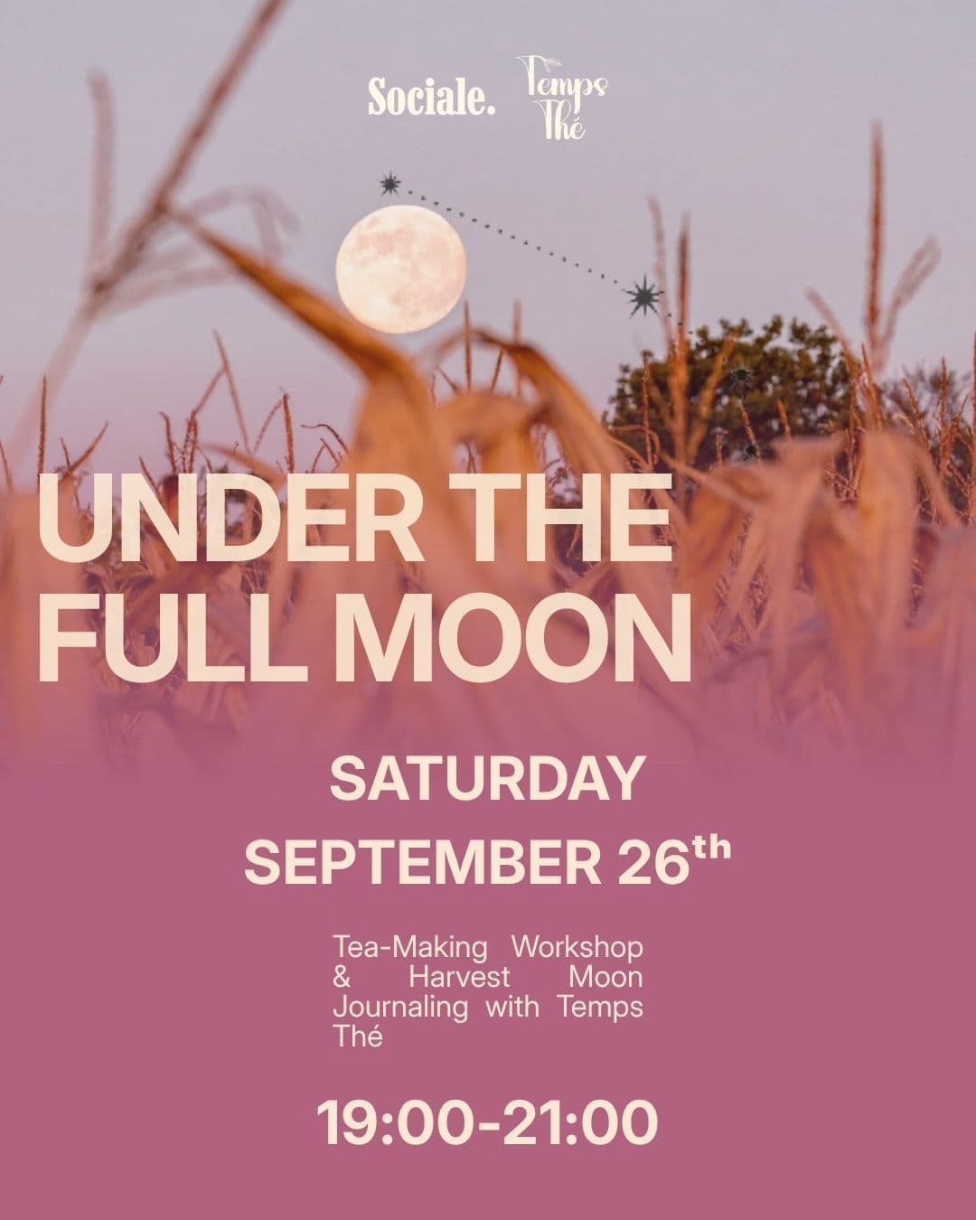 UNDER THE FULL MOON : Tea-Making & Journaling Workshop with Temps Thé - Sociale.