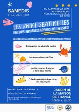 Les Mini-sentinelles : Futurs ambassadeurs de la mer