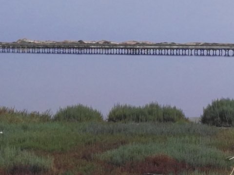 Lagoon and dune at Korba