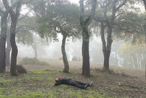 Beni Mtir forest