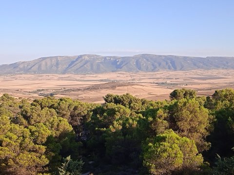 Jebel Bargou