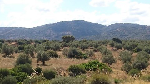 The Bargou massif