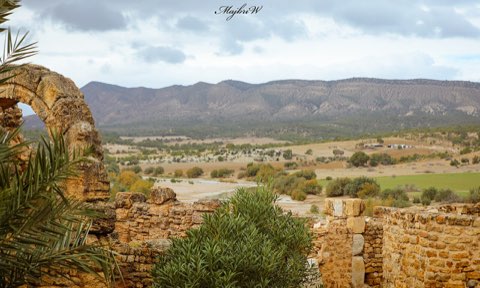 Hammam Mellegue, another view