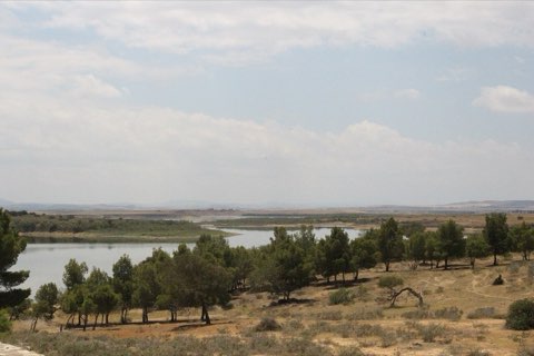 Bir Mcherga Reservoir, another view