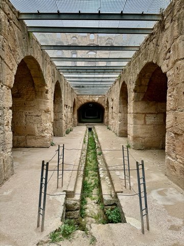 Lower gallery