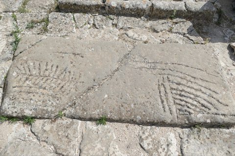 Dougga above the olive country